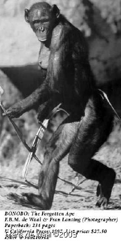 bonobowalk.jpg