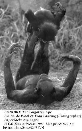 bonobowbaby.jpg