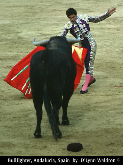 bullfighter2.jpg