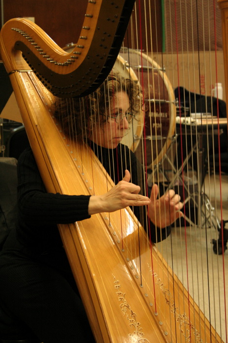 harp1_mg_2398.jpg