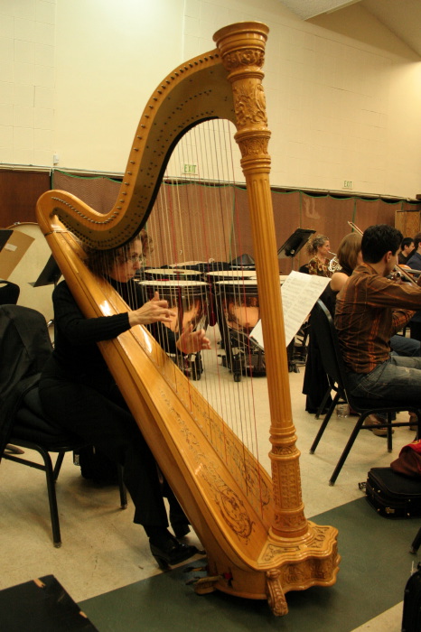 harp2_mg_2403.jpg